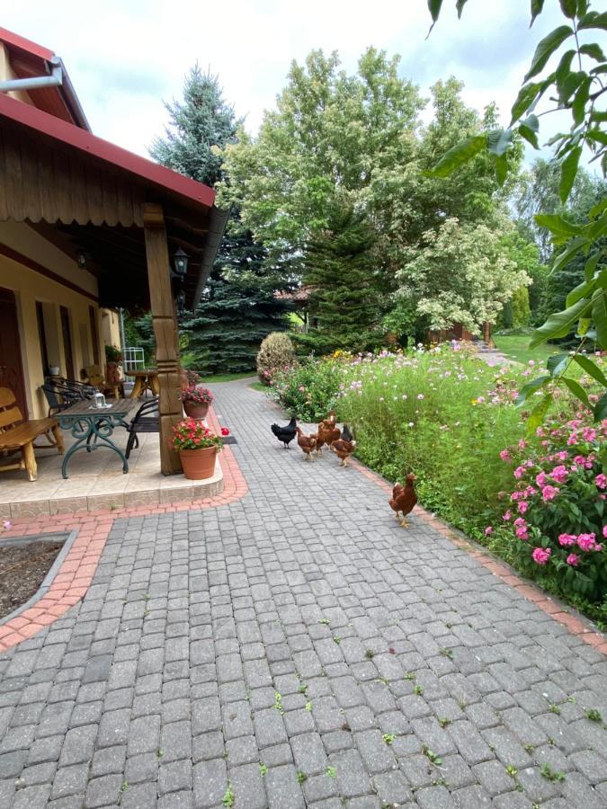 Agroturystyka Pod Podkowa Villa Mrągowo Buitenkant foto