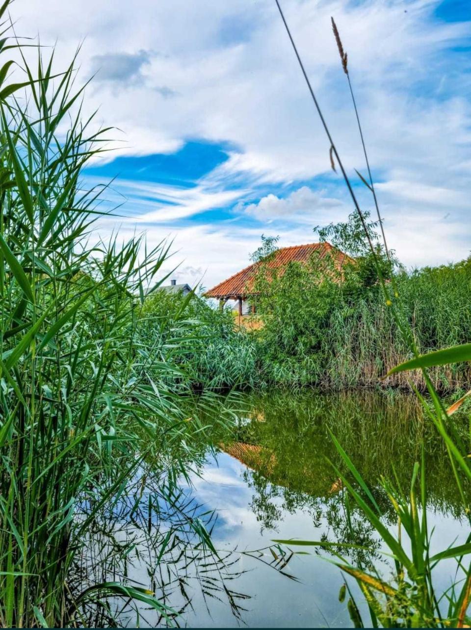 Agroturystyka Pod Podkowa Villa Mrągowo Buitenkant foto