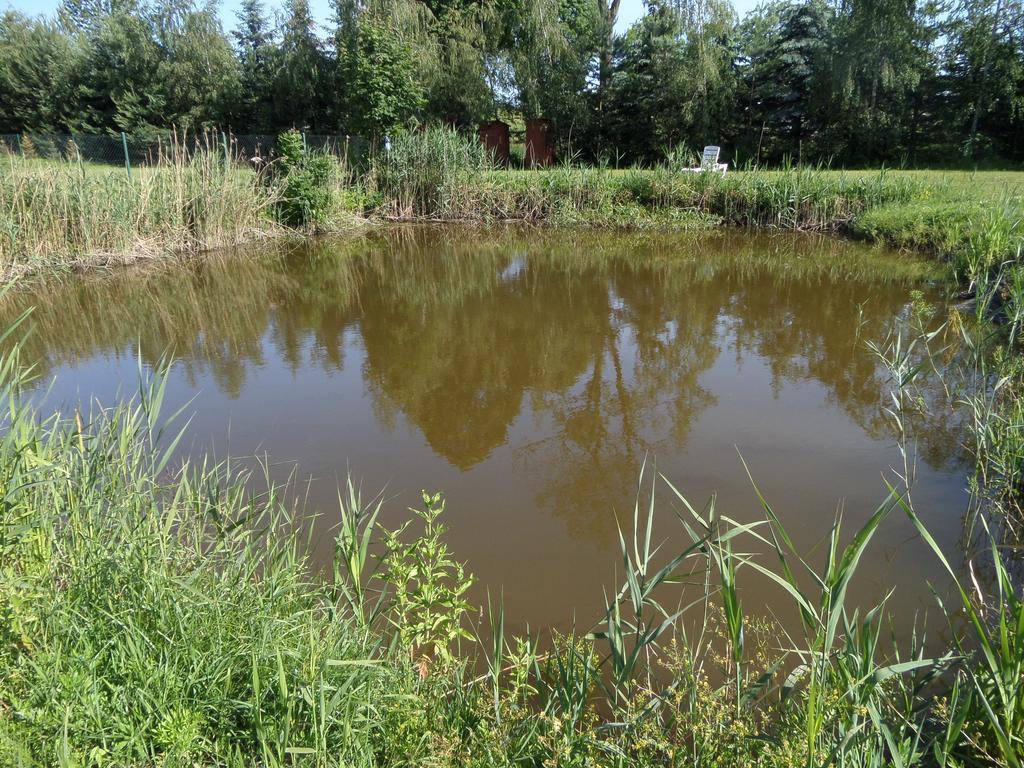 Agroturystyka Pod Podkowa Villa Mrągowo Buitenkant foto