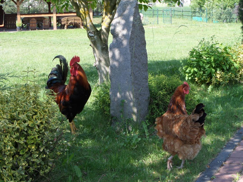 Agroturystyka Pod Podkowa Villa Mrągowo Buitenkant foto